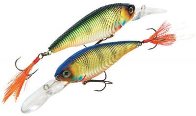 Sashimi Shad color CMSP