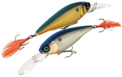 Sashimi Shad color CMTS