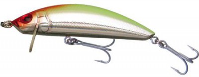 SS Minnow color CR