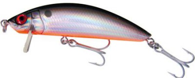 SS Minnow color GT
