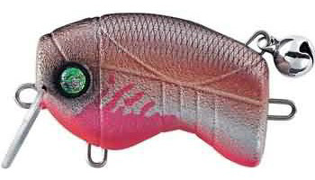 Zombi Bug Bug color BDSH