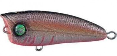 Zombi Bug Pop color BDSH