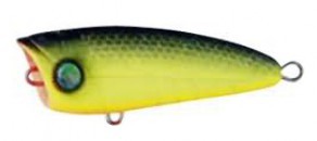 Zombi Bug Pop color BLCL