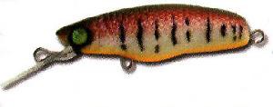 Zombi Shad color BRSH
