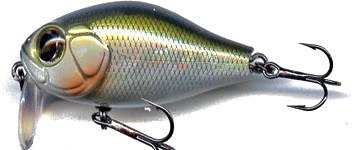 B-Switcher SSR Craze color 300