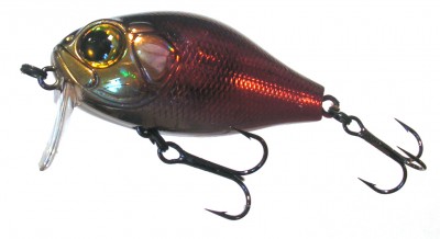 B-Switcher SSR Craze color 505