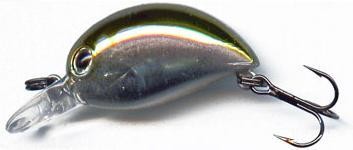 Baby Hickory color 021