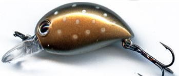 Baby Hickory color 029