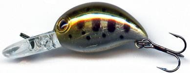 Baby Hickory color 810