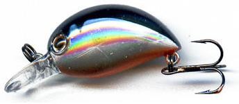 Baby Hickory color 811