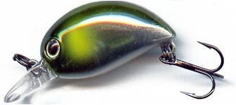 Baby Hickory color 820