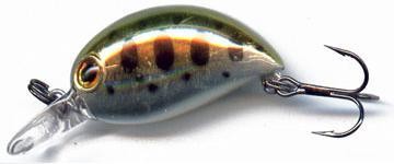 Baby Hickory color ZR-102 H