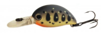 Baby Hickory color ZR-129