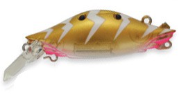 C-Bream color 613
