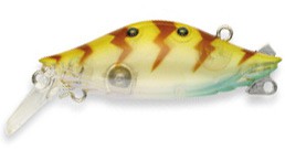C-Bream color 781