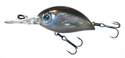Hickory color 021
