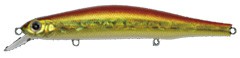 Orbit 110 SP color 049
