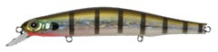 Orbit 110 SP color 509