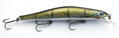 Orbit 110 SP color 513R