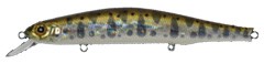 Orbit 110 SP color 810