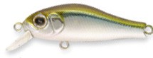 Rigge 35F color 021