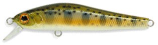 Rigge 56F color 851