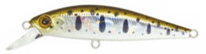 Rigge Flat 50S color 810