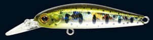 Rigge S-Line 46S color 810