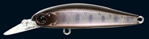Rigge S-Line 46S color 813
