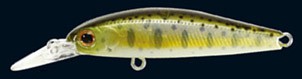 Rigge S-Line 46S color 851