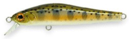 Rigge S-Line 56S color 851