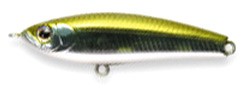 Rigge S-line Raphael color 021