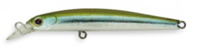 Rigge Slim 80 SS color 021