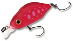 Kangoku Minnow color 