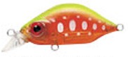 Kangoku Minnow color C-33