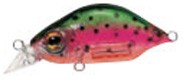 Kangoku Minnow color C-34