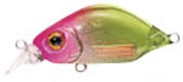Kangoku Minnow color C-41