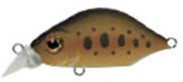 Kangoku Minnow color F-02