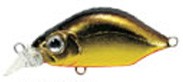 Kangoku Minnow color M-09