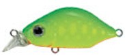 Kangoku Minnow color PC-02