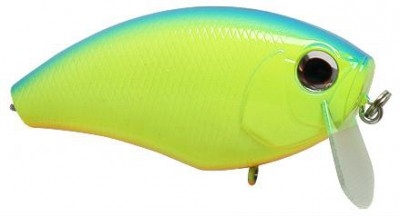 Dai buzzn’ color chartresue blue back