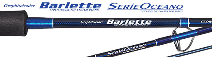 Barlette Spinning Model