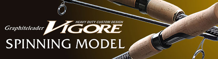 Vigore Spinning Model