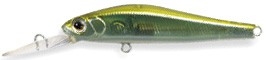 Rigge Flat 60S color 