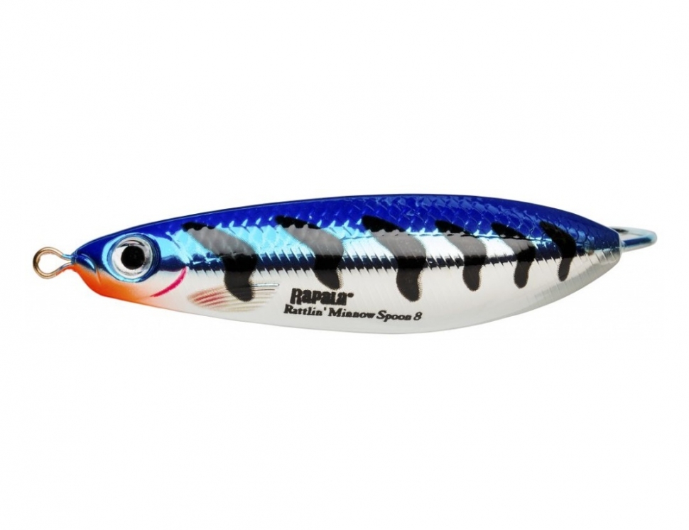 Rattlin Minnow Spoon color Metallic Blue Tiger (MBT)