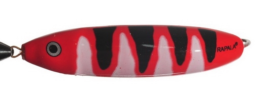 Minnow Spoon color RBW