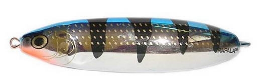 Minnow Spoon color MBT