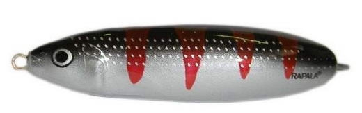 Minnow Spoon color FSBT