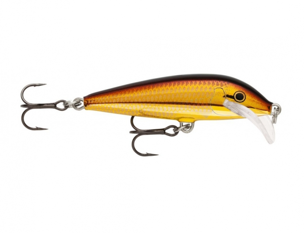 Scatter Rap CountDown color Gold Alburnus