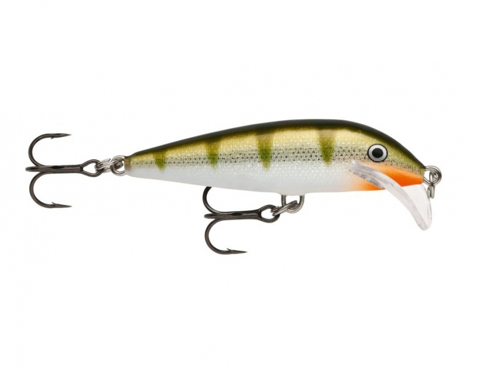 Scatter Rap CountDown color Yellow Perch
